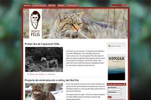Proyecte Felis | felis.bomosa.ad