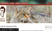 Proyecte Felis | felis.bomosa.ad