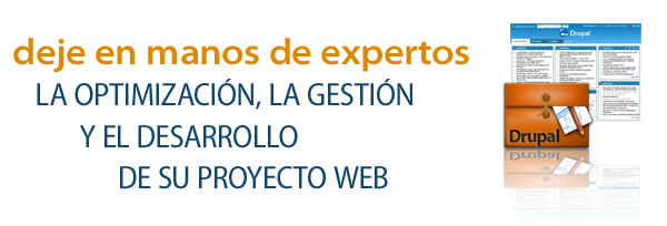 Consultoría DRUPAL - deje en manos de expertos la optimización, la gestión y el desarrollo de su proyecto web